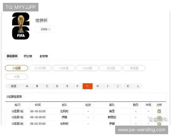 比利时与埃及世界杯比赛结果揭秘：比赛过程、比分变化及未来晋级展望